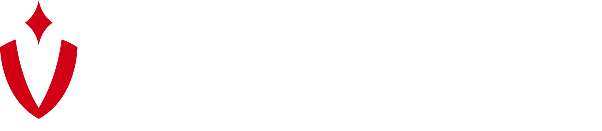 Vettro Guard Logo